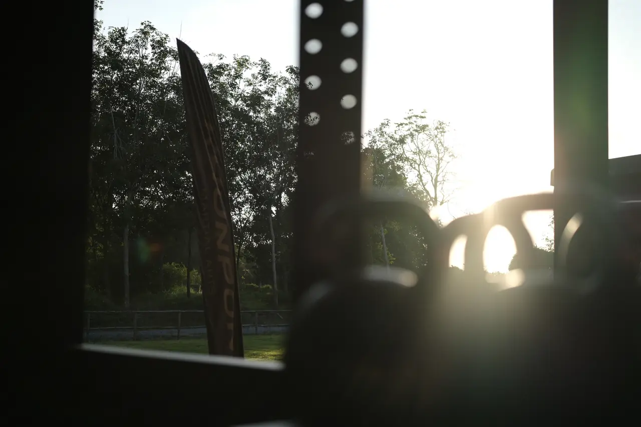 Evening sun breaks through the trees behind the kettlebell racks at the edge of the gym