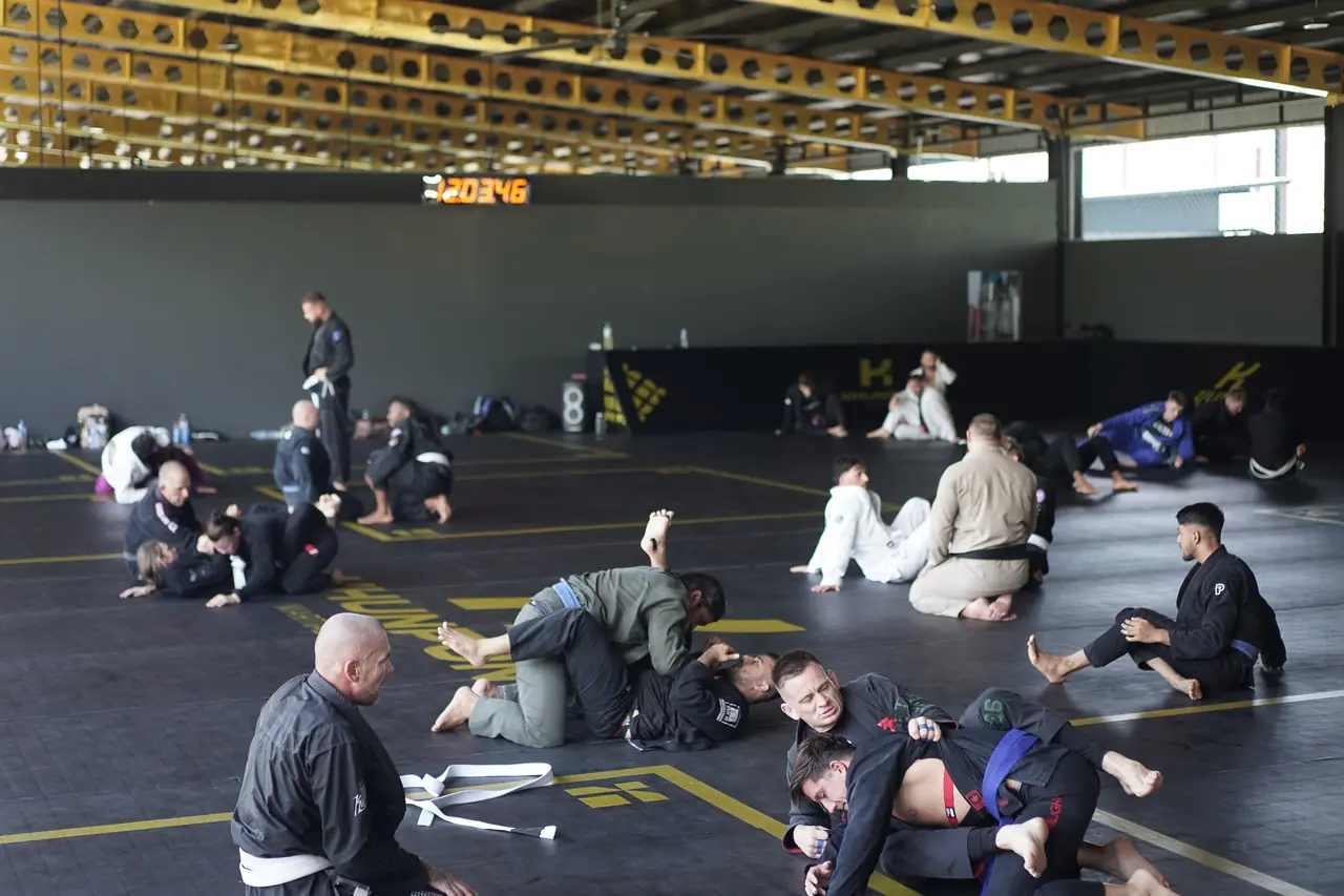 Pairs drill the technique across the mats, with the Professor walking between them