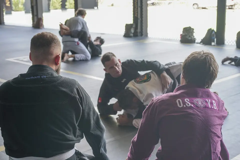The seminar seen from behind a row of seated practitioners