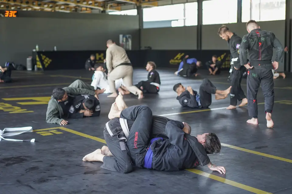 Pairs spread across the mats working through the technique